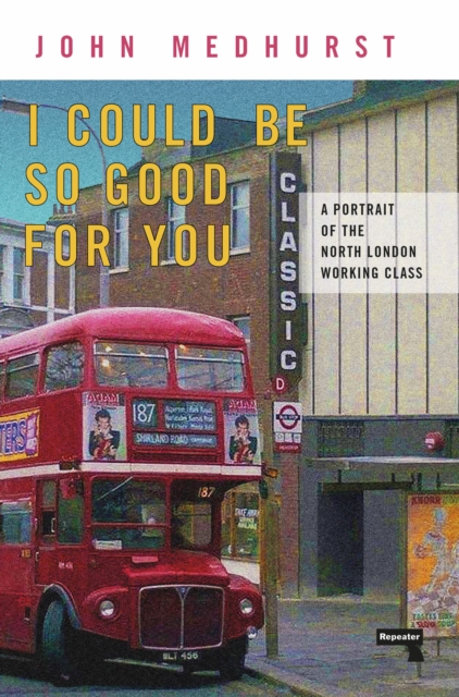 I Could Be So Good for You : A Portrait of the North London Working Class, Paperback / softback Book