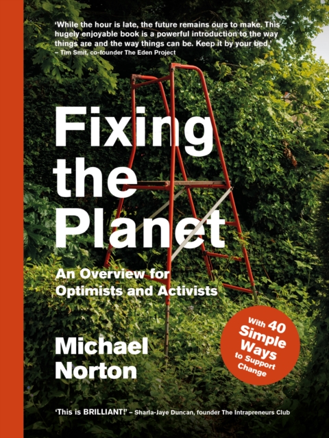 Fixing the Planet : An Overview for Optimists, Paperback / softback Book