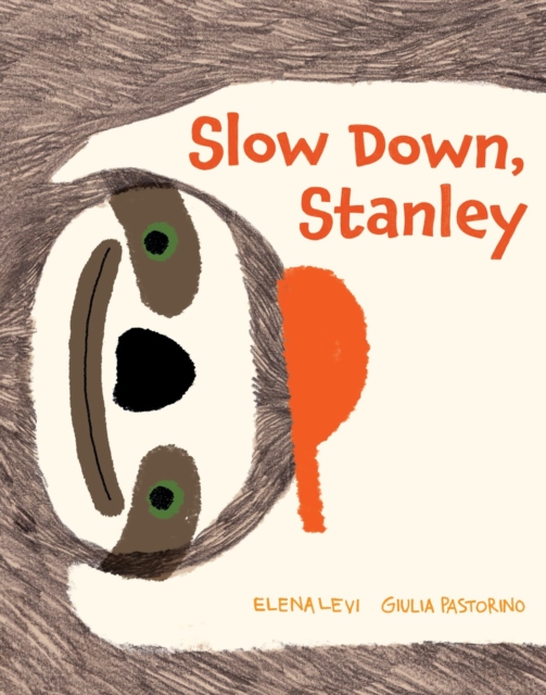 Slow Down, Stanley, Hardback Book