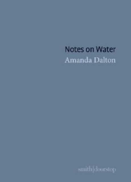 Notes on Water, Paperback / softback Book