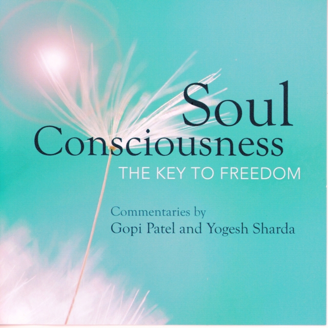 Soul  Consciousness, eAudiobook MP3 eaudioBook