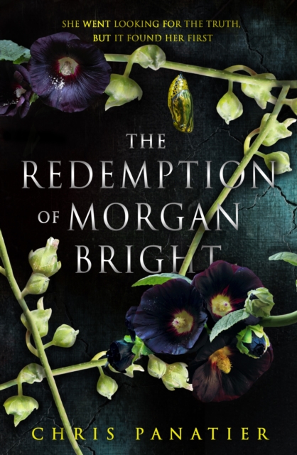 The Redemption of Morgan Bright, Paperback / softback Book