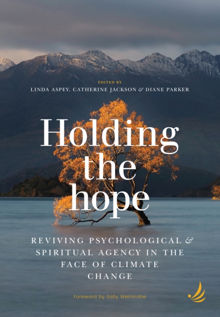 Holding the Hope, EPUB eBook