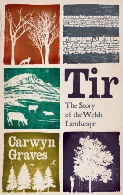 Tir : The Story of the Welsh Landscape, Hardback Book