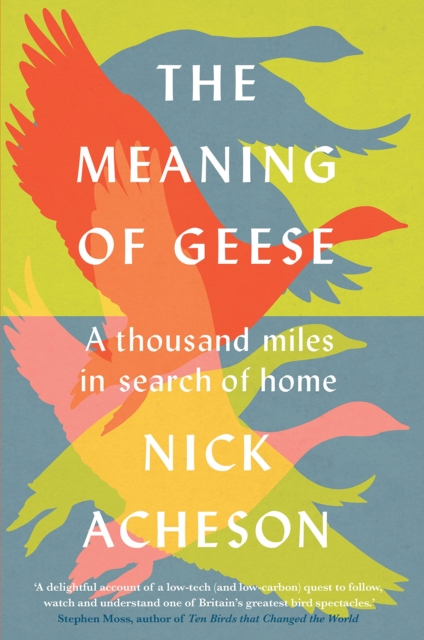 The Meaning of Geese : A Thousand Miles in Search of Home, Hardback Book