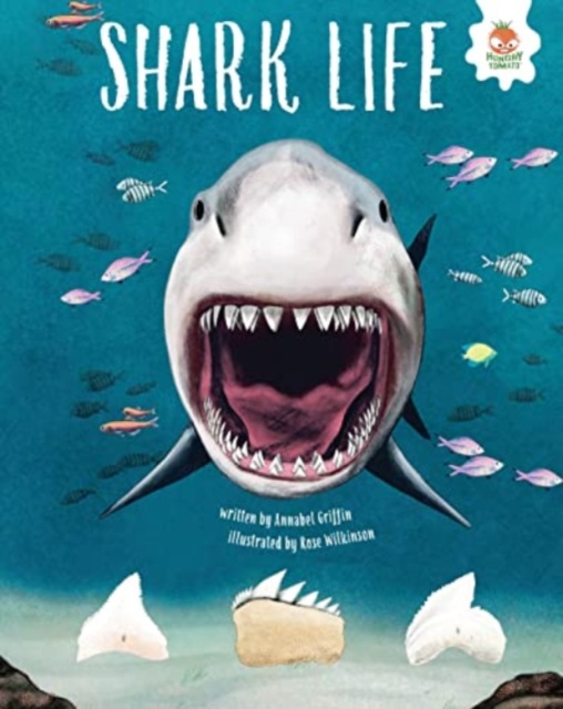SHARK LIFE : Shark Safari      STEM, Paperback / softback Book