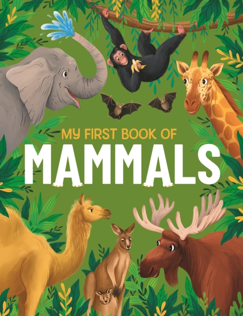 My First Book of Mammals : An Illustrated First Look at Mammals from Around the World, Hardback Book
