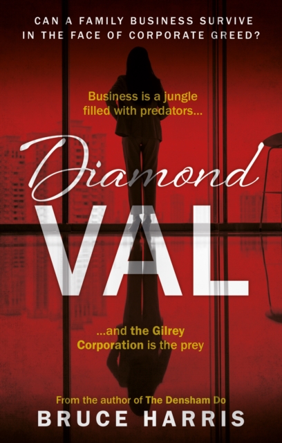 Diamond Val, Paperback / softback Book