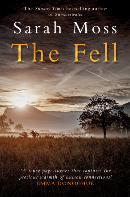 The Fell, Paperback Book