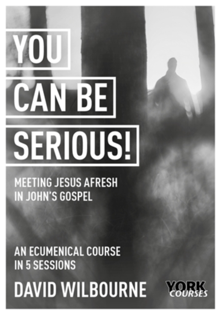 You Can Be Serious! : Meeting Jesus afresh in John's Gospel, EPUB eBook