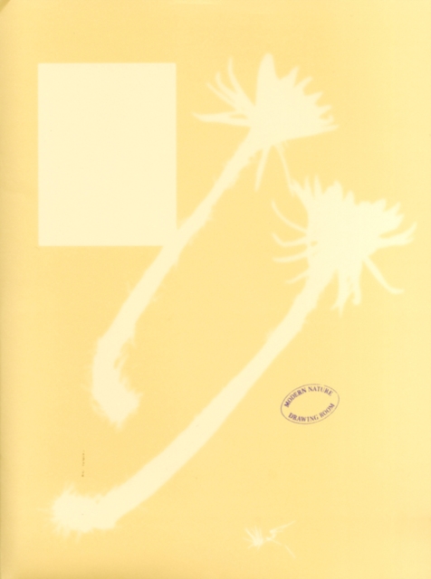 Modern Nature, Paperback / softback Book