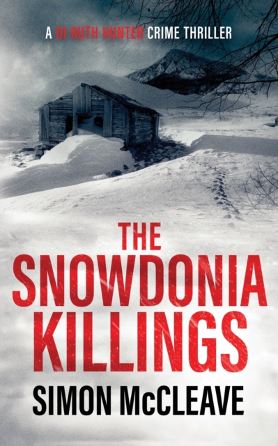 The Snowdonia Killings, Paperback / softback Book