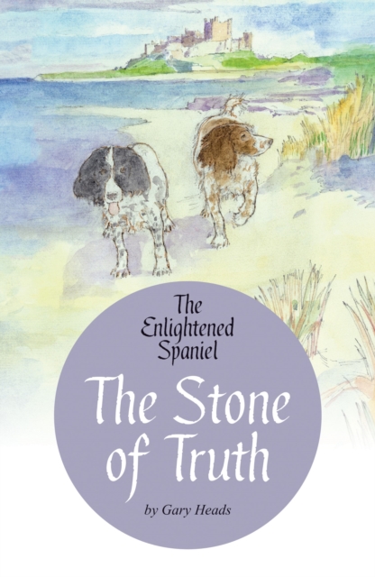 The Stone of Truth, Paperback / softback Book