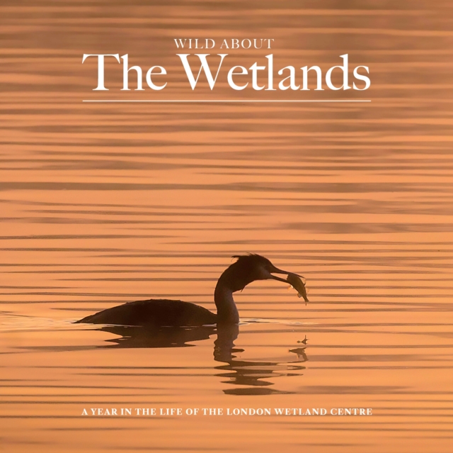 Wild about The Wetlands : A Year in the Life of The London Wetland Centre, Hardback Book