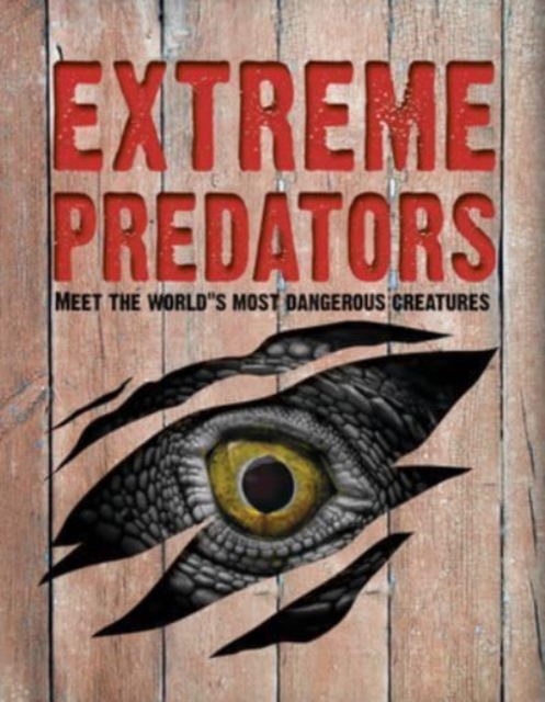 Extreme Predators : Meet the World's Most Dangerous Animals, Paperback / softback Book