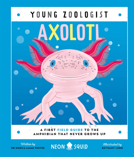 Axolotl (Young Zoologist) : A First Field Guide to the Amphibian That Never Grows Up, Hardback Book