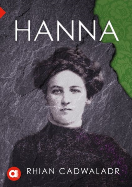 Cyfres Amdani: Hanna, Paperback / softback Book