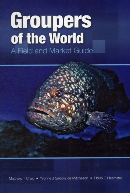 Groupers of the World : A Field and Market Guide, Paperback / softback Book
