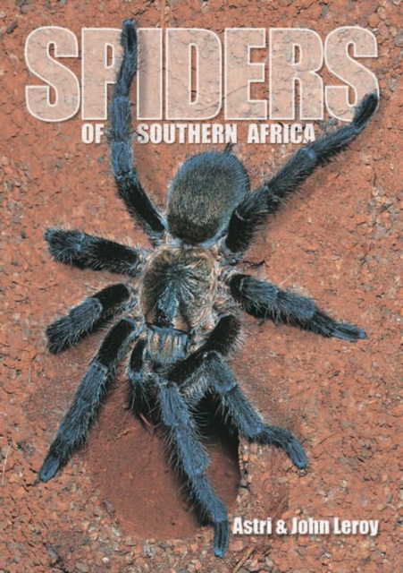 Spiders of Southern Africa, EPUB eBook