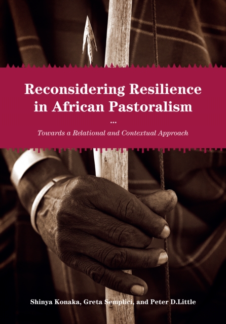 Reconsidering Resilience in African Pastoralism : Towards a Relational and Contextual Approach, EPUB eBook