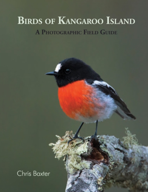Birds of Kangaroo Island : A Photographic Field Guide, PDF eBook