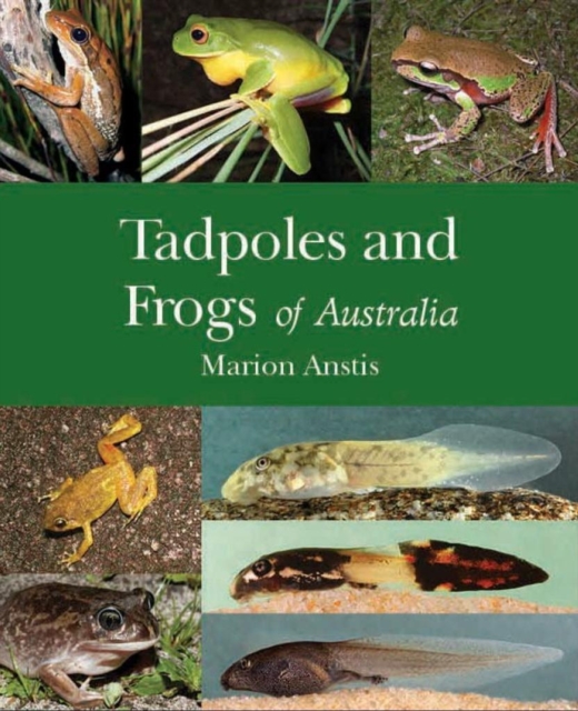 Tadpoles and Frogs of Australia, Hardback Book