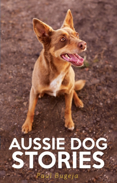 Aussie Dog Stories, Paperback / softback Book
