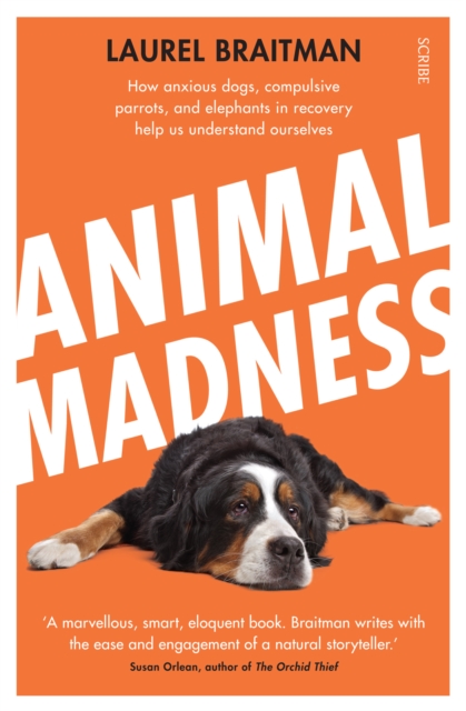Animal Madness : how anxious dogs, compulsive parrots, and elephants in recovery help us understand ourselves, Paperback / softback Book