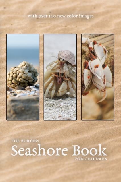 The Burgess Seashore Book with new color images, Paperback / softback Book