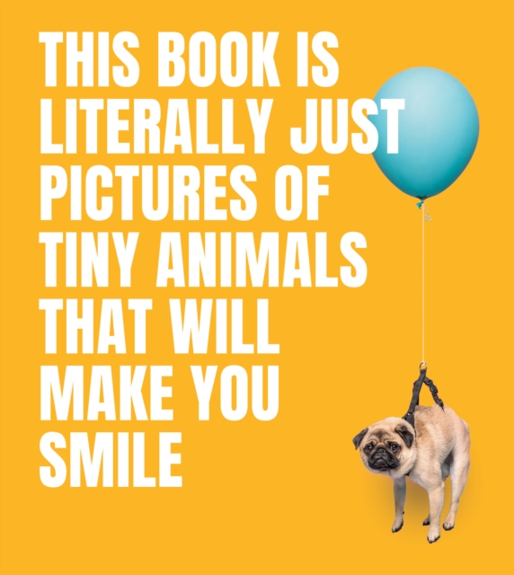 This Book Is Literally Just Pictures of Tiny Animals That Will Make You Smile, Hardback Book
