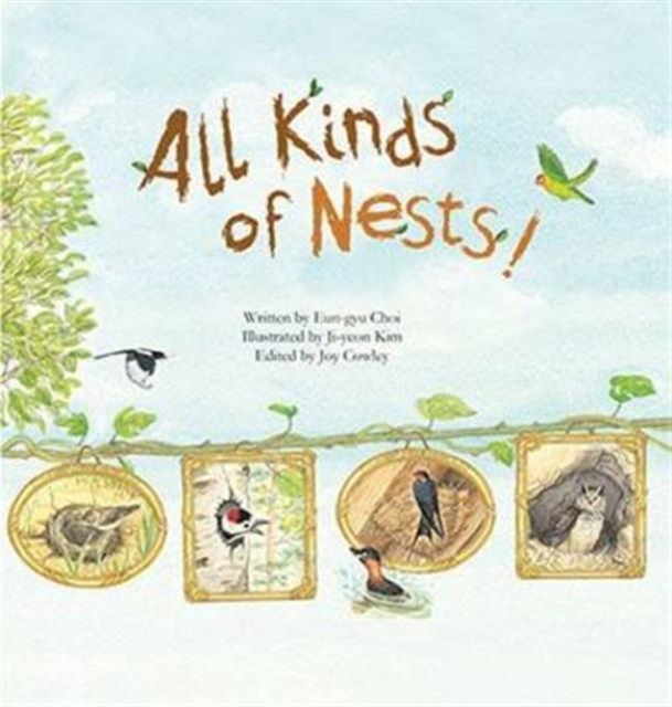 All Kinds of Nests : Birds, Paperback / softback Book