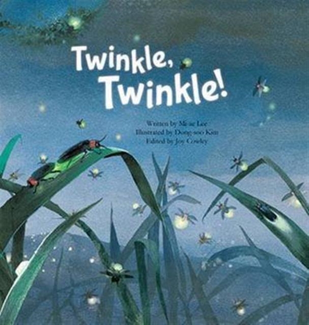 Twinkle Twinkle : Insect Life Cycle, Paperback / softback Book