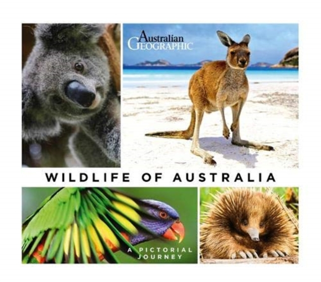 Wildlife of Australia, Hardback Book