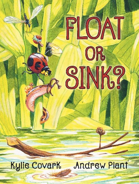 Float or Sink?, Hardback Book