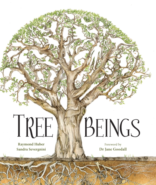 Tree Beings, Hardback Book