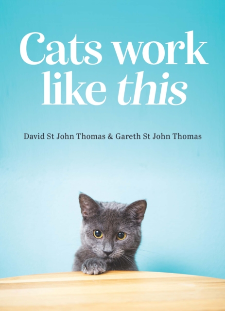 Cats Work Like This, Hardback Book