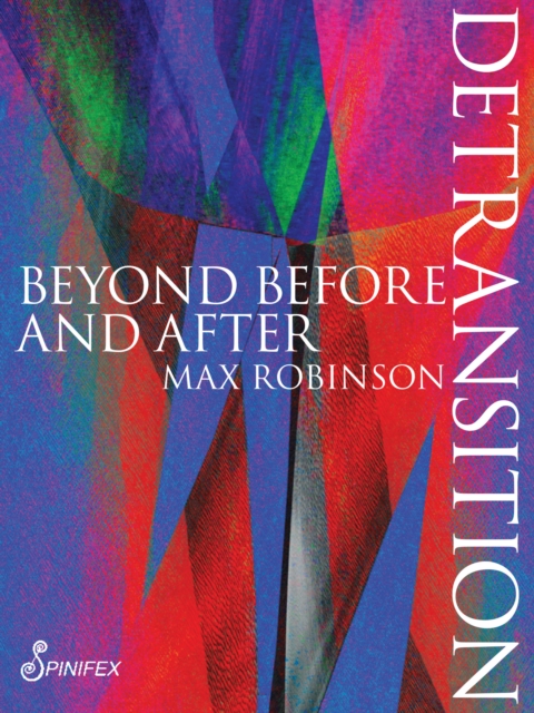 Detransition : Beyond Before and After, Paperback / softback Book
