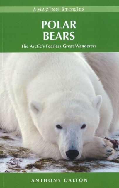 Polar Bears : The Arctic's Fearless Great Wanderers, Paperback / softback Book