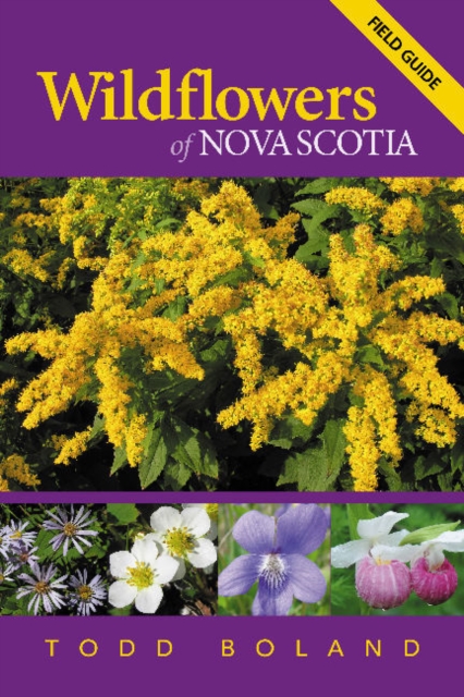 Wildflowers of Nova Scotia : Field Guide, Paperback / softback Book