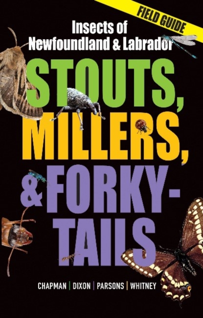 Stouts, Millers, and Forky-Tails : Insects of Newfoundland and Labrador, Paperback / softback Book