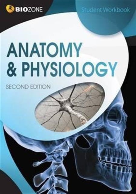 Anatomy & Physiology : Student Workbook, Paperback / softback Book