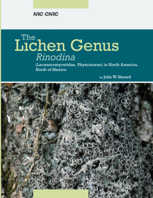 Lichen Genus Rinodina (Ach.) Gray (Lecanorales, Physciaceae) in North America, north of Mexico, PDF eBook