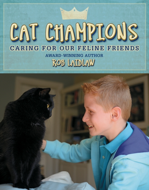 Cat Champions : Caring for our Feline Friends, Hardback Book