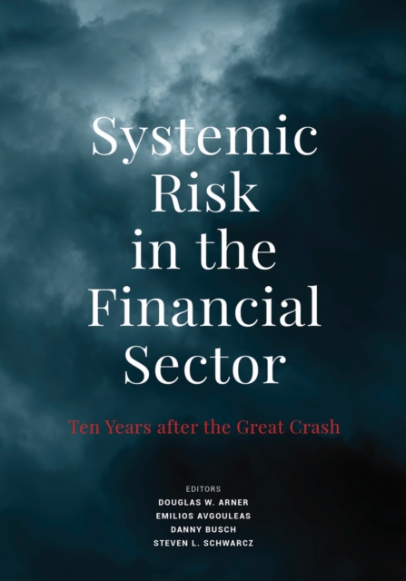 Systemic Risk in the Financial Sector : Ten Years After the Great Crash, Hardback Book