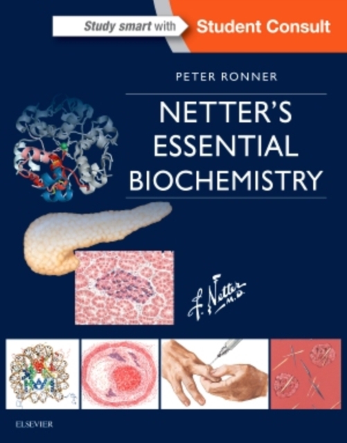 Netter's Essential Biochemistry, Paperback / softback Book