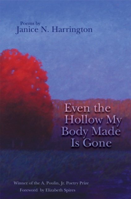 Even the Hollow My Body Made Is Gone, Paperback / softback Book