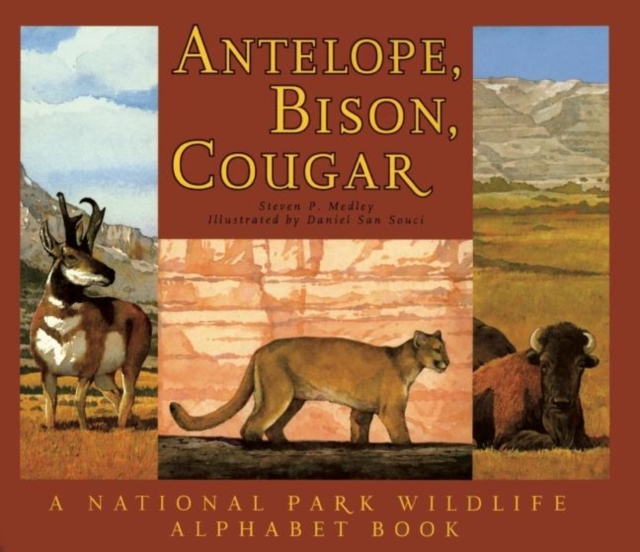 Antelope, Bison, Cougar : A National Park Wildlife Alphabet Book, Hardback Book