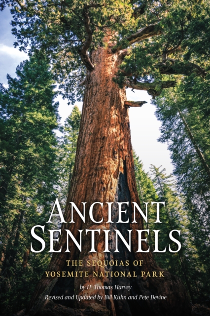 Ancient Sentinels: The Sequoias of Yosemite National Park, Paperback / softback Book