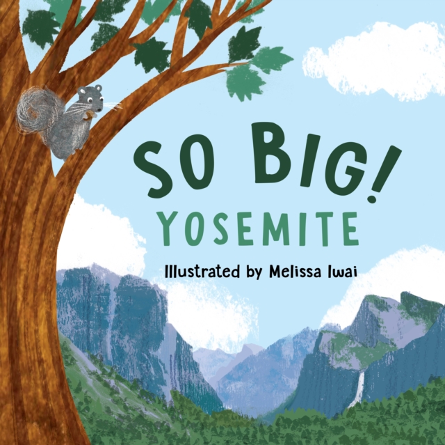 So Big! Yosemite, Board book Book