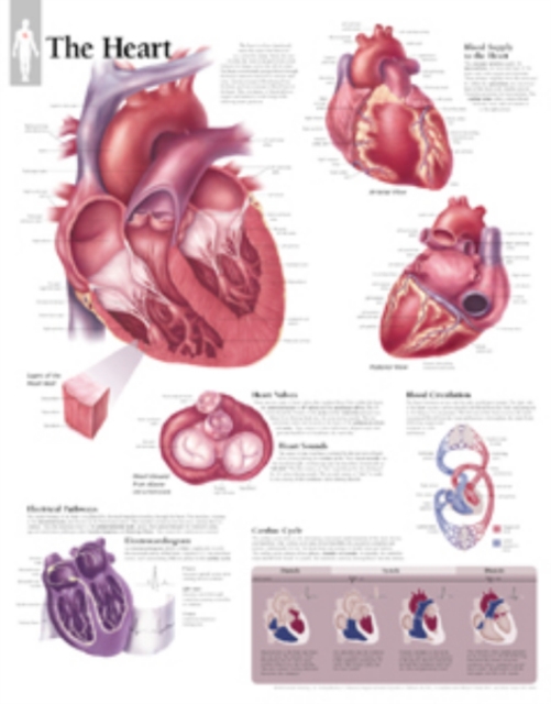 Heart Laminated Poster, Poster Book
